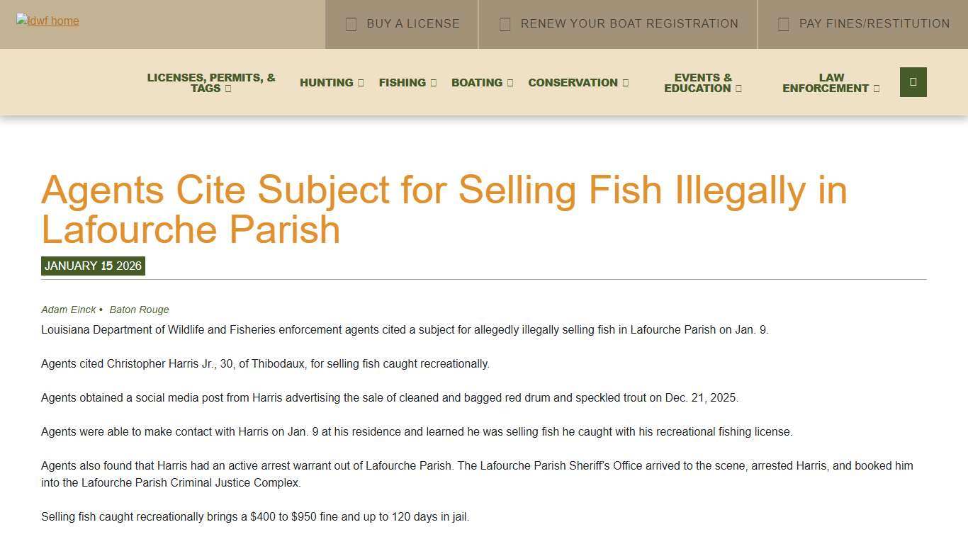 Agents Cite Subject for Selling Fish Illegally in Lafourche Parish Louisiana Department of Wildlife and Fisheries